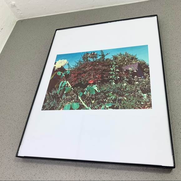 Lovely Star Original Photography Print - Picture 6 of 10